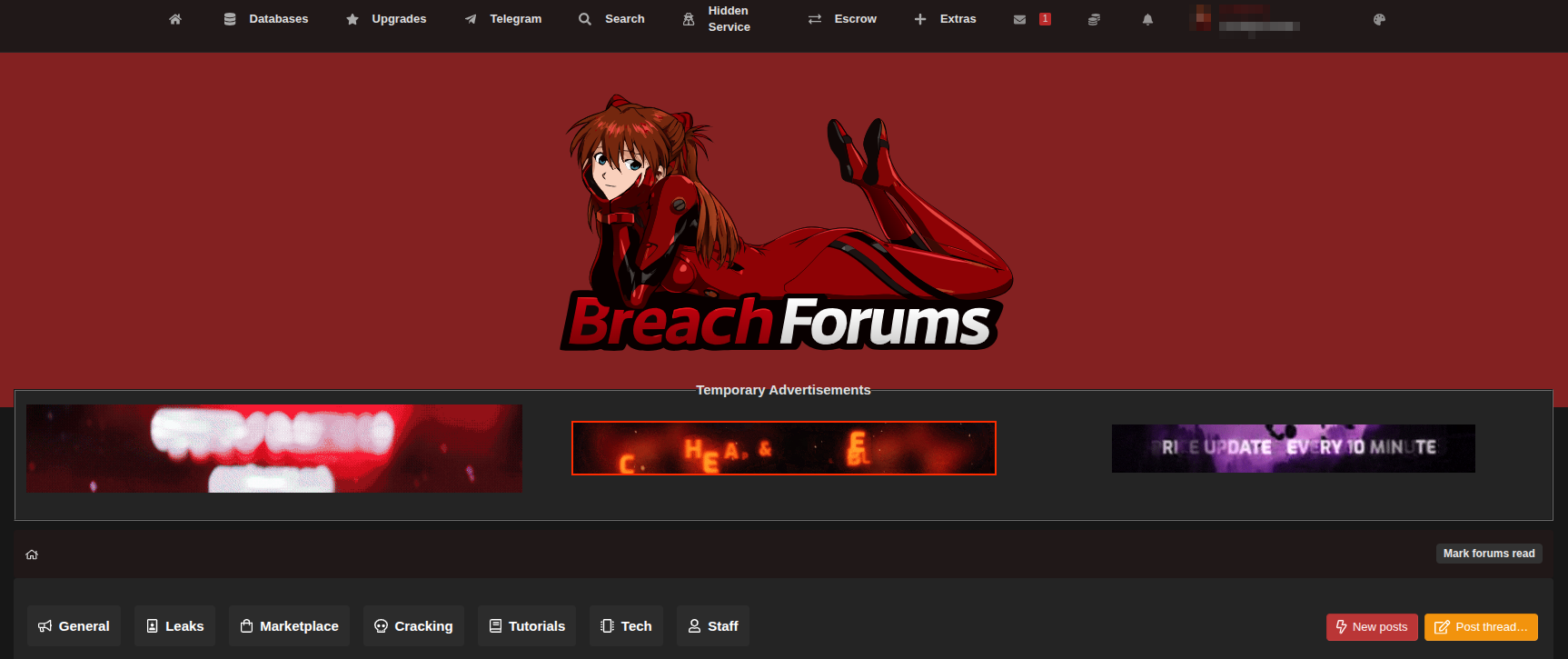 Interview #10 diencracked (BreachForums owner)